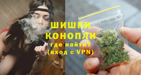 шишки Балабаново