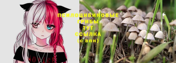 соль ск Сосновый Бор
